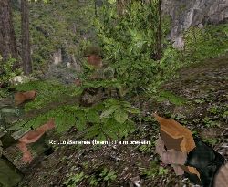 Bananas is pressing.jpg